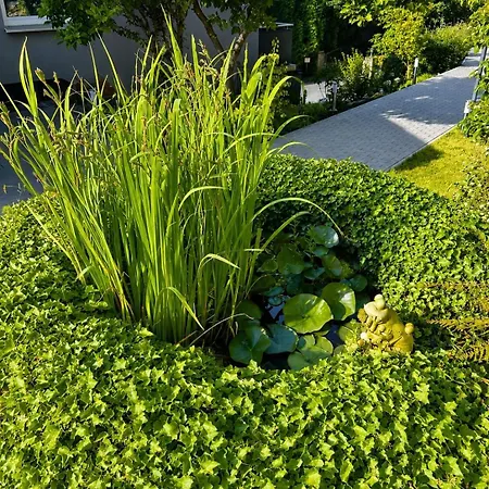 Haus Emmy Villa
